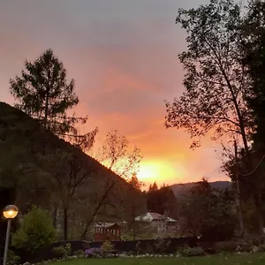  Appartamento Vacanze Stella Alpina Italia